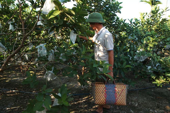 Nói về cuộc sống, công việc ở Sài Gòn, Lệ Rơi thổ lộ: "Công ty giải trí lập ra nhưng chưa hoạt động được ngày nào, thua lỗ mất mấy chục triệu, vừa rồi còn phải nộp thuế trước khi giải thể, 2 quán bún cũng hoạt động cầm chừng, hiện tại tôi đã sang nhượng. Nếu không gặp biến cố thì tôi có nhiều thứ để làm".